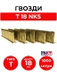 T 18 NKS